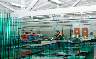 Бизнес на аквариумных рыбках Обслуживание аквариумов в организациях бизнес план